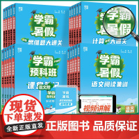 2023新版学霸的暑假衔接数学计算思维题大通关语文阅读集训预科班一升二升三升四升五升六年级预习课堂笔记总复习预习知识暑假