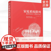 家庭系统排列重建家庭秩序 让爱自然流动 家庭常见矛盾处理方法大全 家庭关系管理书籍 夫妻 亲子关系处理技巧书籍 社会