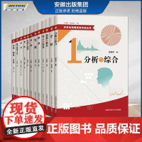 正版 中学生物理思维方法丛书 全套装13册 王溢然 守恒模型等效对称求异数学物理方法形象抽象类比 10直觉归纳与演绎 中