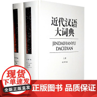 近代汉语大词典 上下全二册 精装 许少峰著 汉语口语词实用工具书收词50306余条中国古代通俗文学语词短语中华书局正版全