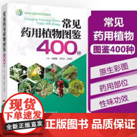 [书]常见药用植物图鉴400种 刘建福 中草药识别应用中草药彩色图谱中草药野外识别速查图鉴 中草药大全药材大全中医学书籍