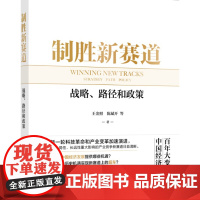 制胜新赛道:战略、路径和政策