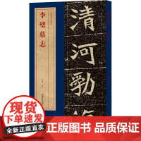 李璧墓志 洪亮 编 书法/篆刻/字帖书籍艺术 正版图书籍 安徽美术出版社