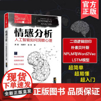 人工智能超入门丛书 情感分析 人工智能如何洞察心理 人工智能技术白话解读NLP领域关键技术 自然语言处理超入门技术型科普