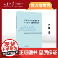 店 全新正版经济增长理论视角下山东新旧动能转换研究王琦著山东大学出版社