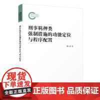 刑事羁押类强制措施的功能定位与程序配置 谢小剑