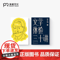 苗炜作品两种 苗师傅文学人生课+文学体验三十讲 陪你度过这时代的夜晚上 三十个文学之夜 十部外国文学经典 浦睿文化 正版