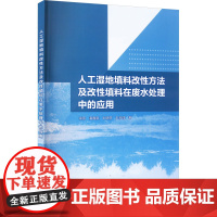 人工湿地填料改性方法及改性填料在废水处理中的应用 徐丽 等 著 环境科学专业科技 正版图书籍 中国水利水电出版社