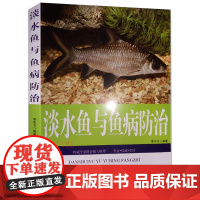 淡水鱼与鱼病防治 高效养鱼技术书 疾病快速诊断与防治 鱼苗饲养建厂安全水产淡水鱼养殖技术书 水产养殖苗水产养殖书