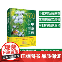 [店]600种中草药彩色图鉴 中医中药材 高清照片