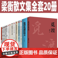 梁衡散文集全套20册 觅渡 把栏杆拍遍 数理化通俗演义 梁衡的21堂作文课 青山不老 人向天的倾诉 梁衡游记 梁衡散文中