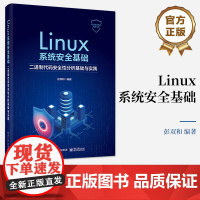 正版 Linux系统安全基础:二进制代码安全性分析基础与实践 彭双和 污点分析技术实现 约束求解原理应用 电子工业出版社