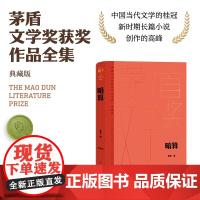 暗算(茅盾文学获奖作品全集 精装典藏版)