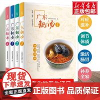 4册 广东靓汤食谱菜谱广东汤 1688例药膳养生煲汤食谱学做菜家常菜谱大全书籍 新手学煲汤四季养生汤去火养生烹饪入门书