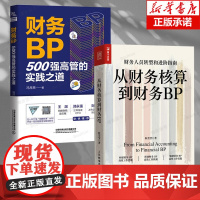 [财务BP2册]财务BP 500强高管实践之道+从财务核算到财务BP财务人员转型和进阶之道 高效构建财务BP 企业管理进