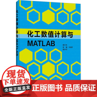 化工数值计算与MATLAB 隋志军,杨榛,魏永明 编 化学工业大中专 正版图书籍 华东理工大学出版社