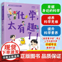 化学太有趣了 给孩子的基础科学启蒙书 柠檬夸克 6-9-12岁儿童小学生科普图书籍 发掘身边的科学 培养科学思维 提升科