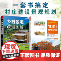 [正版](全2册)乡村景观改造图解 +图解景观设计:100个经典植物配置 500+改造实景图100+植物配置方案全解附赠