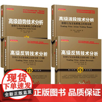 高级反转技术分析+高级反转技术分析等 共4册