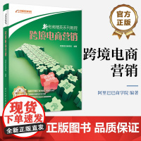 正版 跨境电商营销 主流电子商务知识规划设计书 电子商务系列教程 跨境电商运营营销推广方法技巧书 跨境电商运营书籍