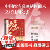 中国崛起的经济学分析 林毅夫、文一、叶裕民联袂阅读,深刻反思而充满文化自信,探索中国特色的经济学体系