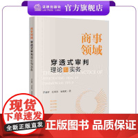 商事领域穿透式审判理论和实务 茅迪群 庄鸿钦 包铭欣著 法律出版社