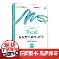 Excel高级数据处理与分析(微课版)