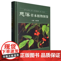 慈溪草本植物图鉴(精)