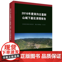 2016年度洞沟古墓群山城下墓区清理报告