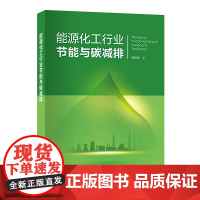 能源化工行业节能与碳减排 陈安民 著 中国石化出版社