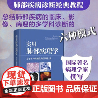 实用肺部病理学——基于6种病理模式的诊断方法