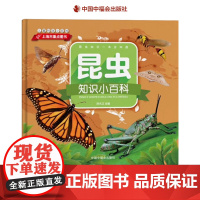 昆虫知识小百科儿童科学小百科精装科普图画书4岁5岁6岁7岁8岁亲子阅读中福会出版社正版童书