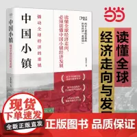 [正版书籍]财之道丛书·中国小镇:撬动全球经济的重镇(四色全彩)知乎盐选联袂 全彩四色印刷 中国经济发展答案之书