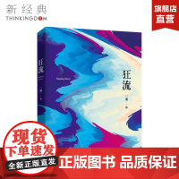 狂流 二湘 文学/当代/长篇小说 正版图书