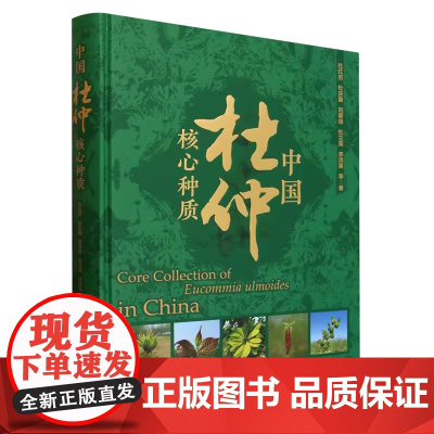 中国杜仲核心种质 杜红岩、杜庆鑫、刘攀峰、杜兰英、李洪果 2256 中国林业出版社