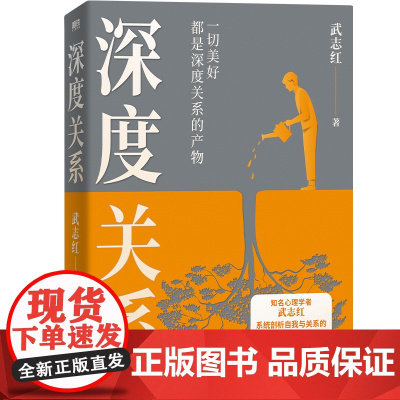 深度关系武志红 心理学者武志红沉淀20年心血之作 给当代人的心理自救指南 社会心理学励志成长