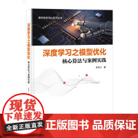 正版 深度学习之模型优化 核心算法与案例实践 深度学习模型压缩与优化技术书 模型可视化 性能评估 模型优化设计书籍