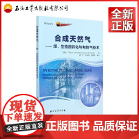 合成天然气.煤、生物质转化与电转气技术