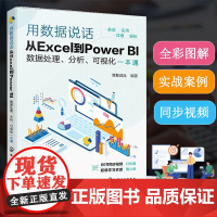 正版 用数据说话 从Excel到Power BI数据处理 分析 可视化一本通 新手小白职场办公Excel及PowerBI