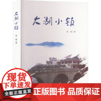 大湖小镇 夏威 著 中国古代随笔文学 正版图书籍 安徽文艺出版社