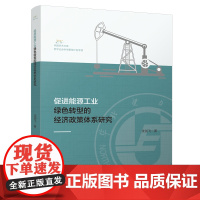 促进能源工业绿色转型的经济政策体系研究 绿色发展国民经济