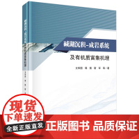 碱湖沉积-成岩系统及有机质富集机理