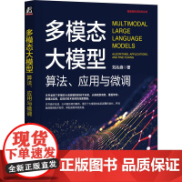 多模态大模型:算法、应用与微调 刘兆峰