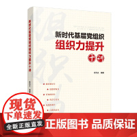 新时代基层党组织组织力提升十讲