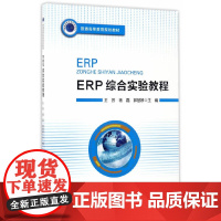 ERP综合实验教程