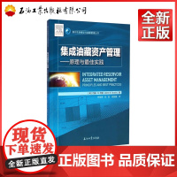 集成油藏资产管理——原理与最佳实践