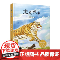 虎兄犬弟 金曾豪著 2024暑假百班千人6/六年级小学生课外阅读书籍儿童文学必读经典书目 湖南少年儿童出版社