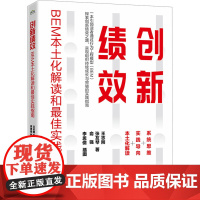 创新绩效 BEM本土化解读和最佳实践指南 王志刚,张友琴,俞强 著 企业管理经管、励志 正版图书籍 电子工业出版社