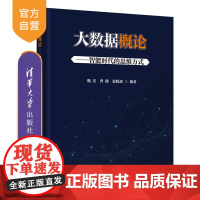 [正版新书] 大数据概论——智能时代的思维方式 魏星、曹健、祝晓斌 清华大学出版社 计算机、大数据、数据科学