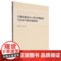 大城市流动人口非正规就业与社会空间分化研究